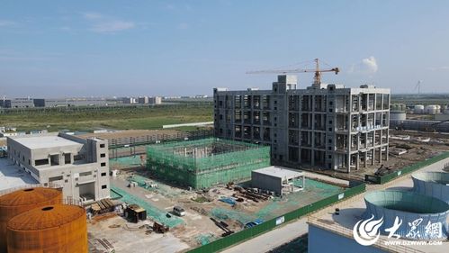 东营重点项目巡礼丨华泰化工集团绿色海洋新材料产业基地项目