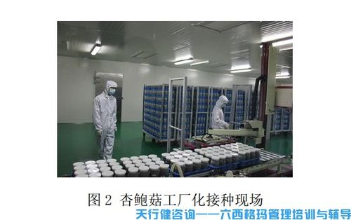 杏鲍菇工厂化接种运用triz创新技术解决相关技术问题